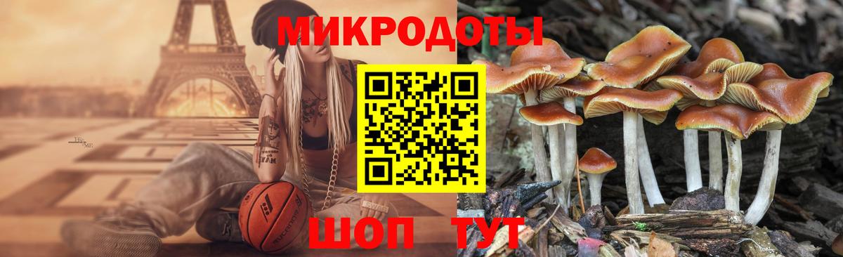 Биробиджан  Псилоцибиновые грибы мицелий  Псилоцибиновые грибы мухоморы  Вход с VPN 